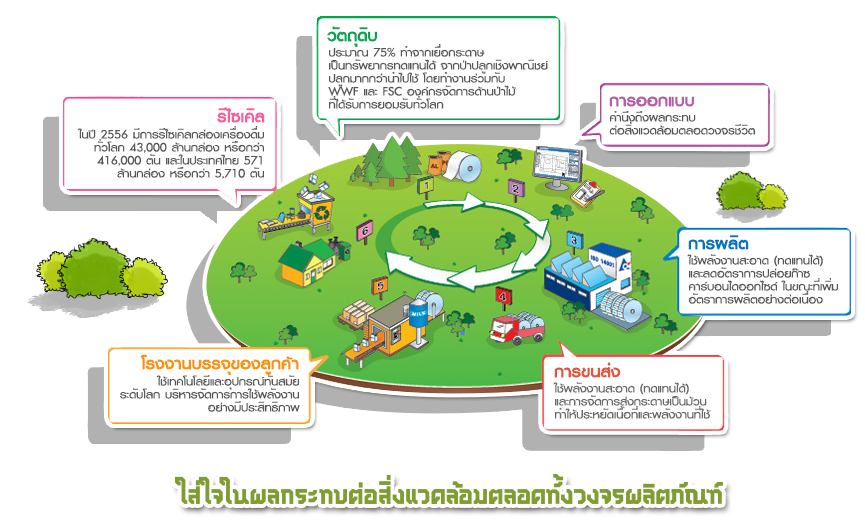 Greenroof Understanding Lowcarbon Image Bg
