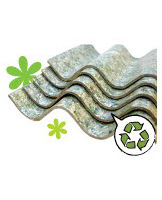 หลังคาเขียว